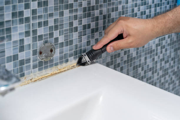 Best Mold Remediation for Specific Building Types in Glenarden, MD